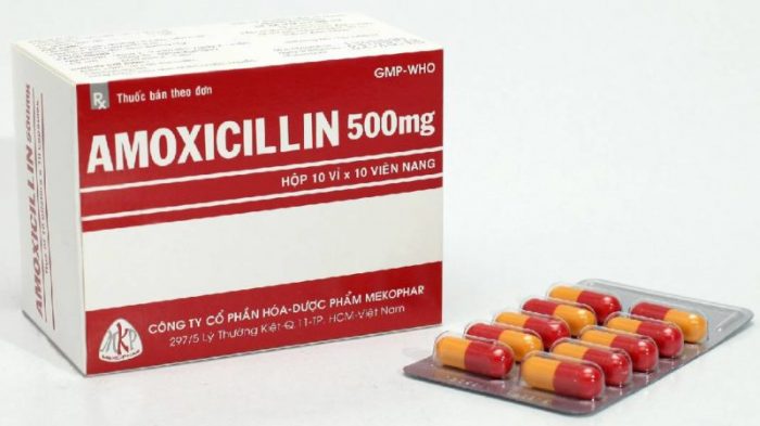 دواعي استعمال دواء أموكسيسيللين Amoxicillin
