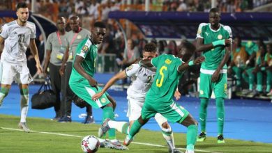 صورة فيديو.. منتخب الجزائر يتوج بطلاً لكأس الأمم الأفريقية للمرة الثانية