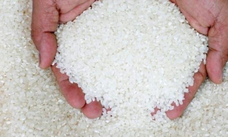 ارتفاع سعر الأرز