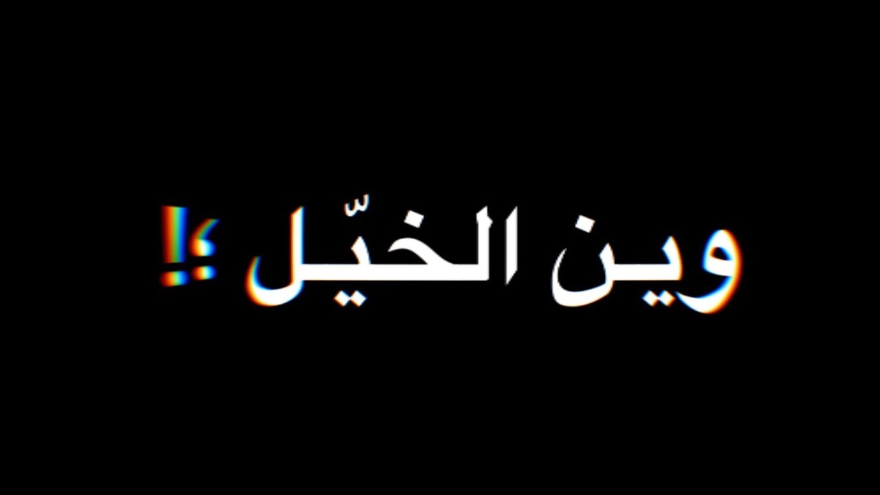 وين الخيل تشد الحيل..تتصدر مواقع التواصل الاجتماعي